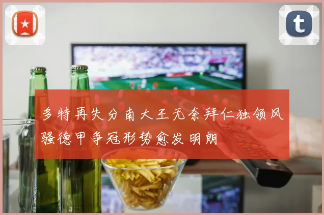 多特再失分南大王无奈拜仁独领风骚德甲争冠形势愈发明朗